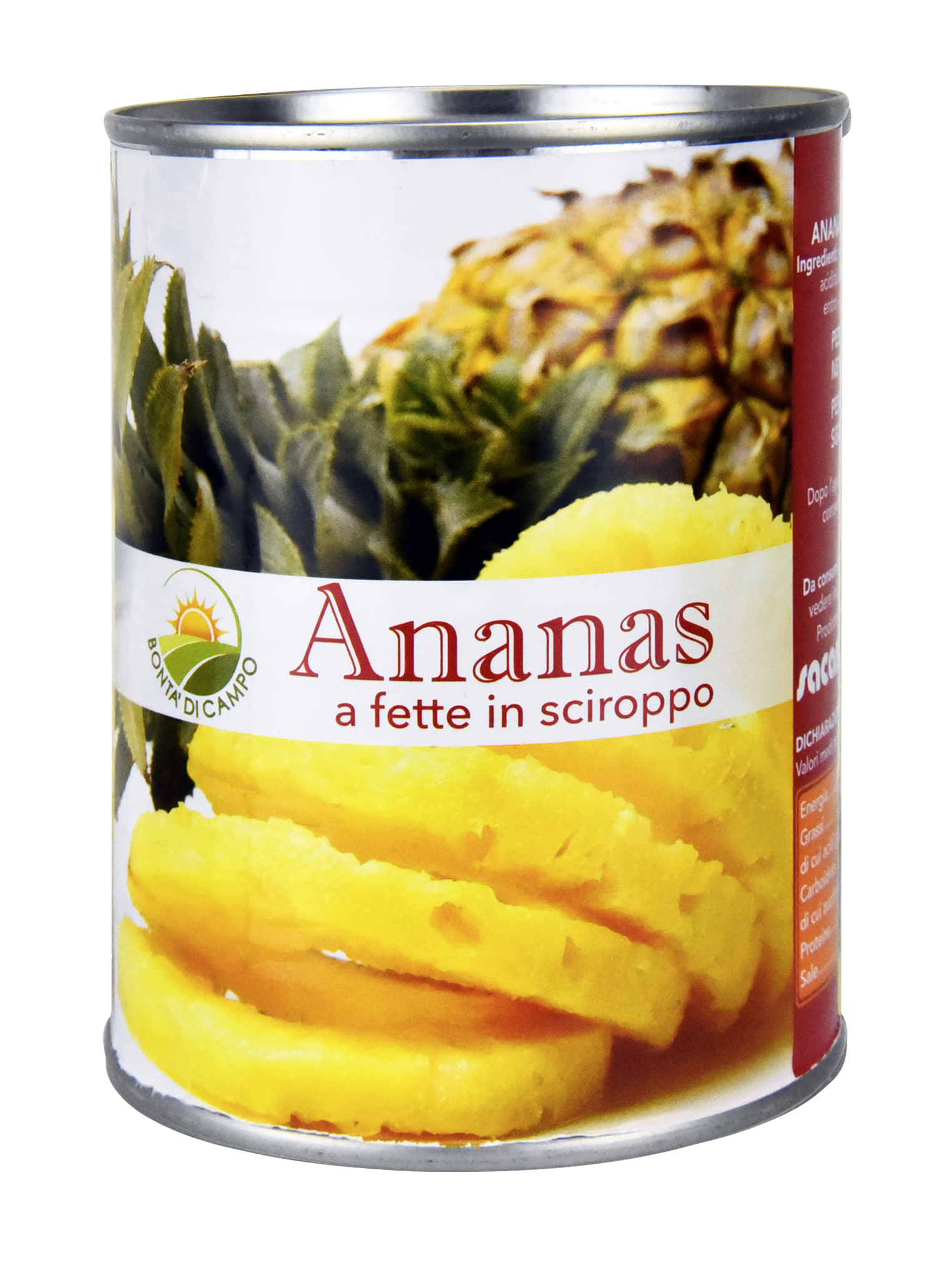 Ananas A Fette